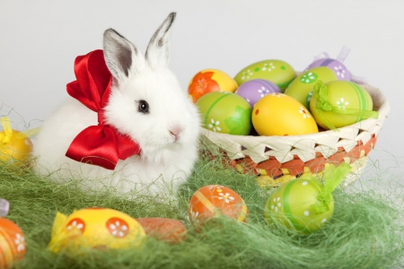 easter bunny