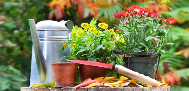 autumn_horticulture_class