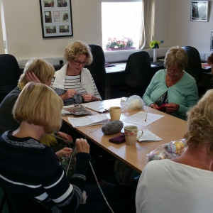 ACCESS Knitting & Crochet Group 2016